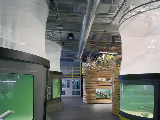 California Academy of Sciences