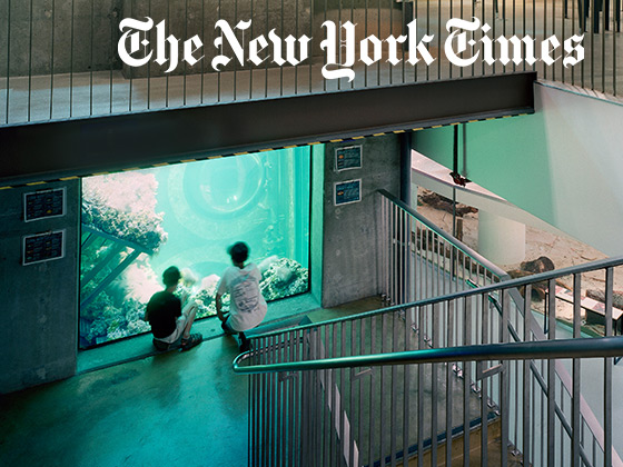 the new york times, 2008